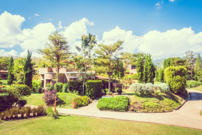 desain taman rumah