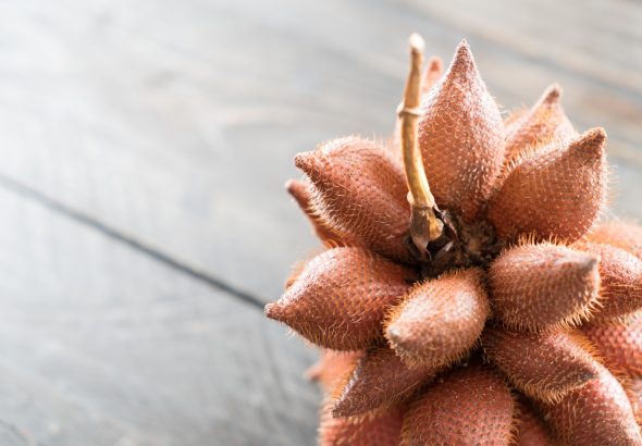 Pohon salak