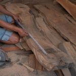 Bisnis kayu